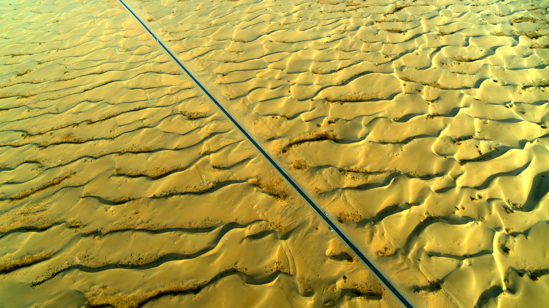 图为塔克拉玛干沙漠环境