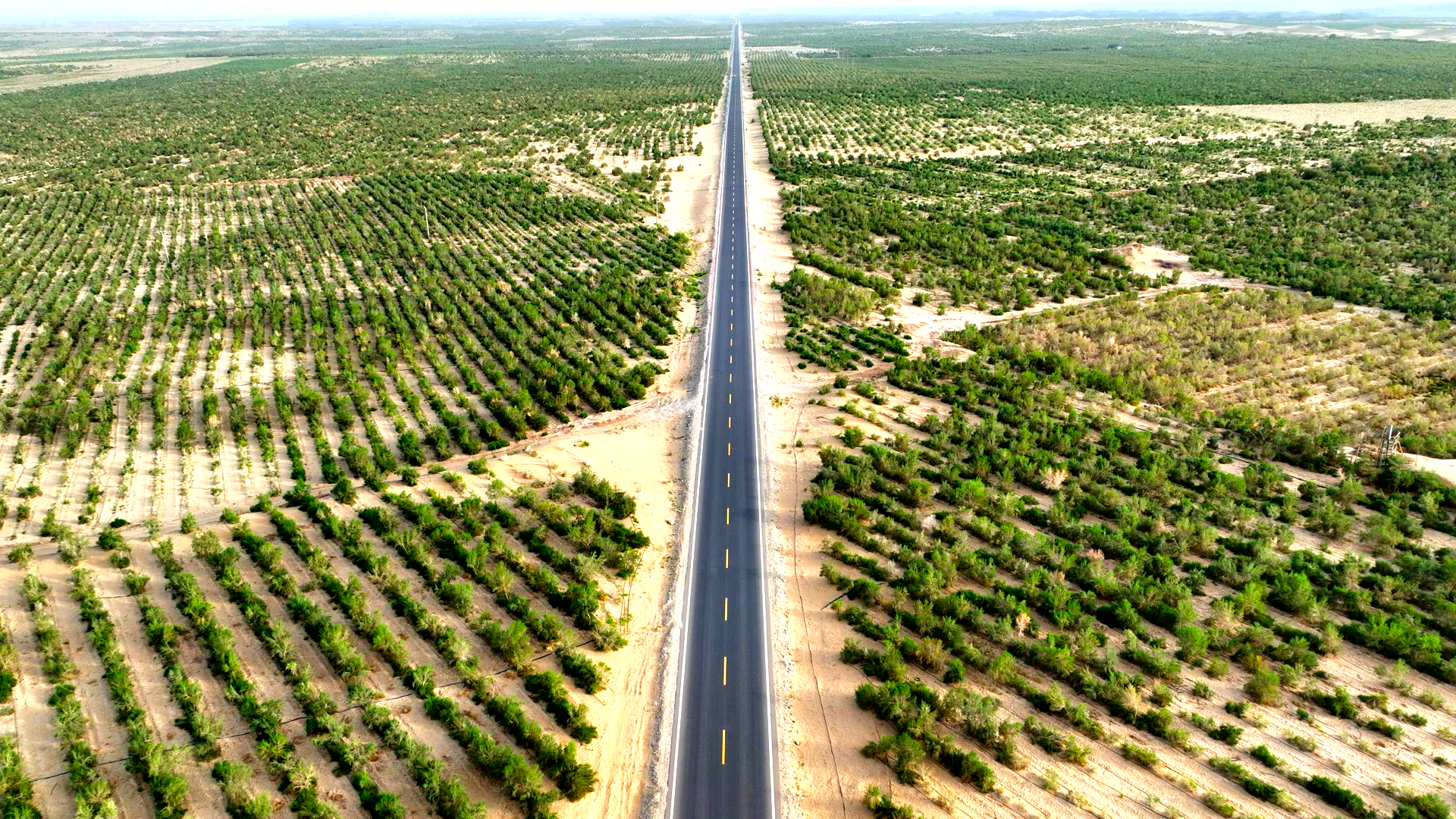 图为每日大赛
生态治理公益林现场