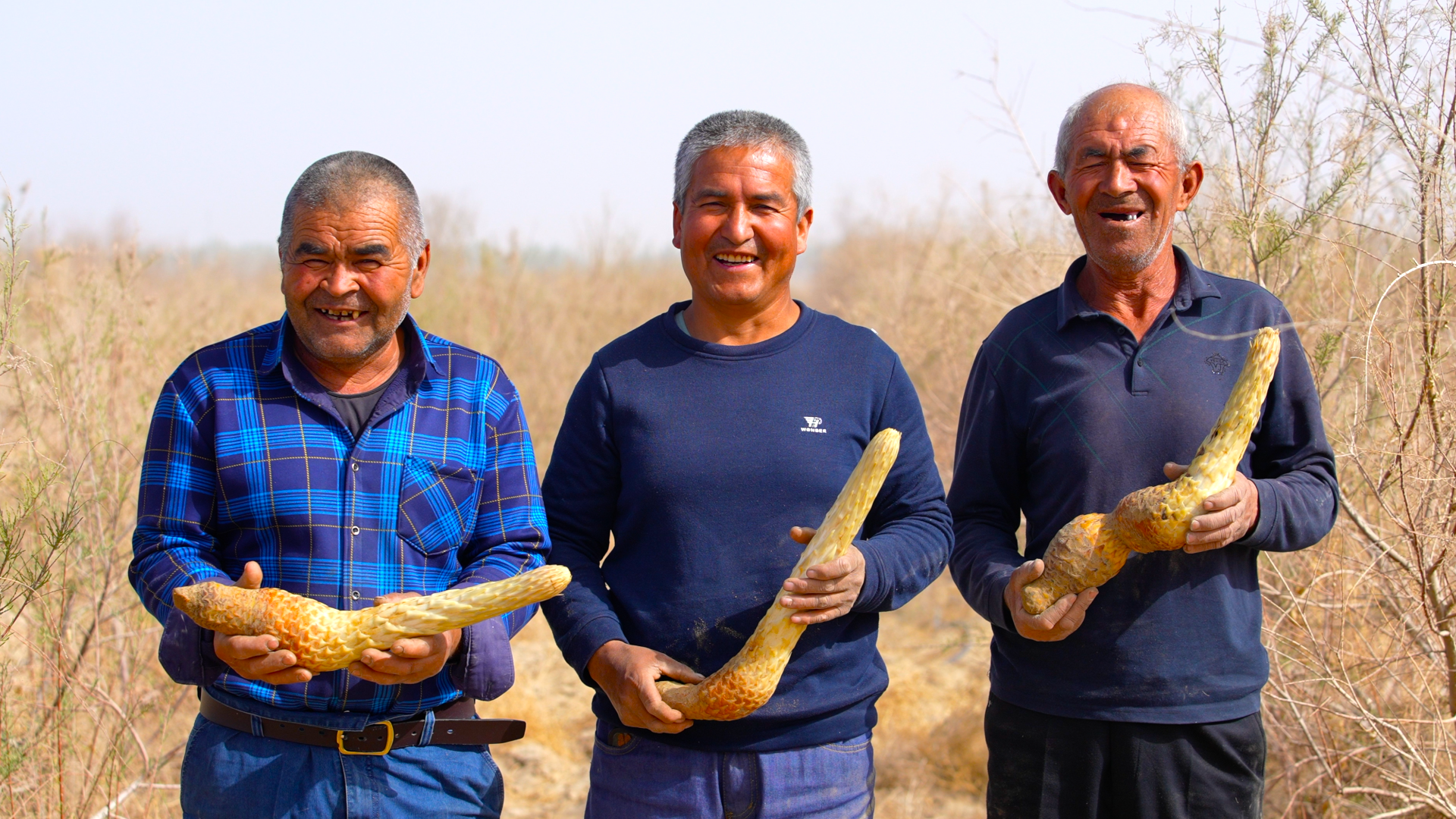 图为于田县村民手捧肉苁蓉感受丰收的喜悦